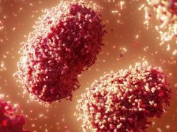 SCIENCE PHOTO LIBRARY