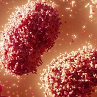 Viruela del mono: 10 razones para ser optimistas