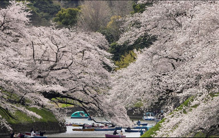 El ministro nipón de defensa Nobuo Kishi menciono que un avión de inteligencia ruso en Hokkaido, y calificó a esas maniobras de 