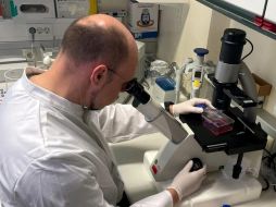 La Organización Mundial de la Salud afirma que se puede detener la transmisión. EL INFORMADOR/ Archivo