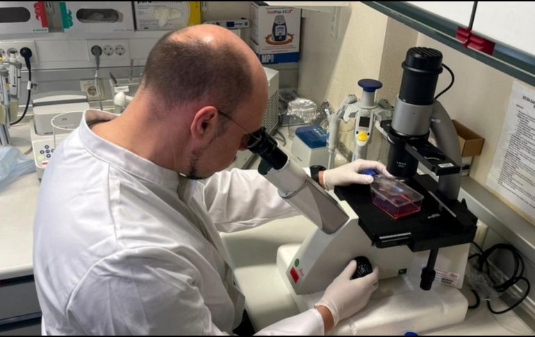 La Organización Mundial de la Salud afirma que se puede detener la transmisión. EL INFORMADOR/ Archivo