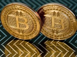 La frase semilla no debe compartirse con nadie ya que es considerada una contraseña de seguridad de tus criptomonedas. AFP / ARCHIVO