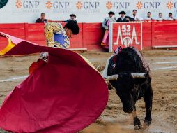 Samuel García vetó la reforma a la Ley de Patrimonio de Nuevo León que declara a la tauromaquia y a las peleas de gallos como patrimonio cultural. EL INFORMADOR/ ARCHIVO