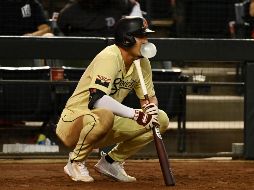 Algunos de los juegos de beisbol podrán ser vistos en televisión restringida en México. AFP / N. Hall