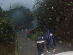 Cortes en carreteras, árboles y postes caídos dejó en la costa sur del Pacífico de México el paso de 