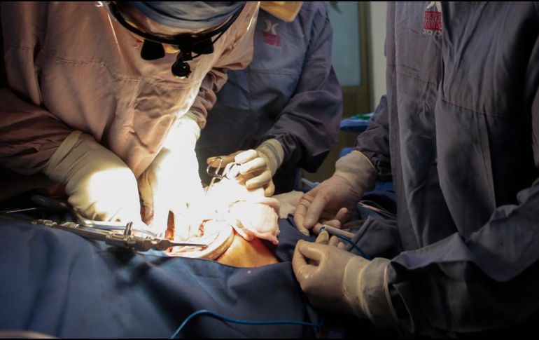 El proyecto sería un gran avance para reducir las listas de espera de quienes aguardan un trasplante de órganos. EL INFORMADOR/ARCHIVO