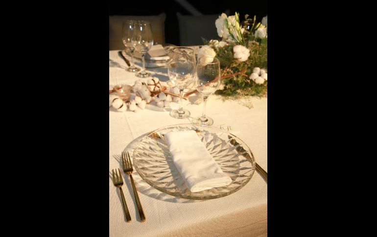 Aspecto. GENTE BIEN JALISCO/Antonio Martínez