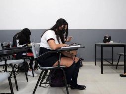 El Sistema Mi Beca Benito Juárez estará en mantenimiento hasta el 12 de junio. EL INFORMADOR/ ARCHIVO