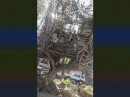 Jorge cuenta que una de sus casas fue destruida por un vecino que se quejó, pero en el resto de las 