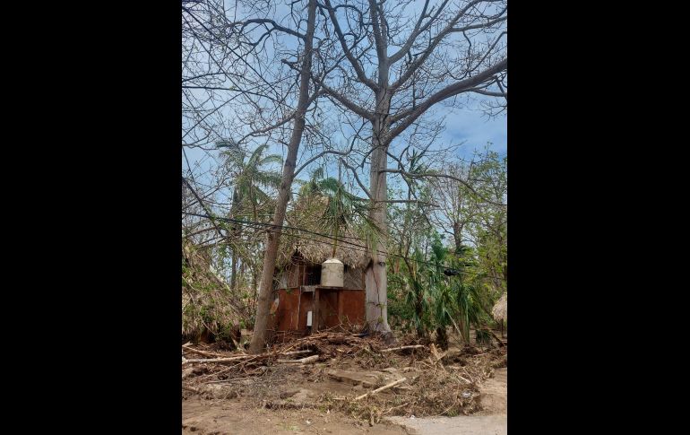 Imágenes desoladoras que dejó el huracán 