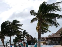 Potencial Ciclón Tropical 