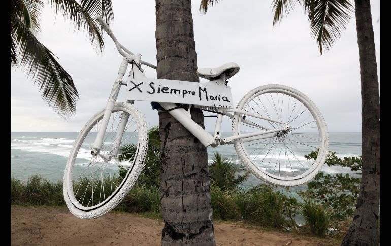 En abril de 2018, la Asamblea General de las Naciones Unidas declaró el 3 de junio como el Día Mundial de la Bicicleta. GETTY IMAGES ISOTCK/TexPhoto