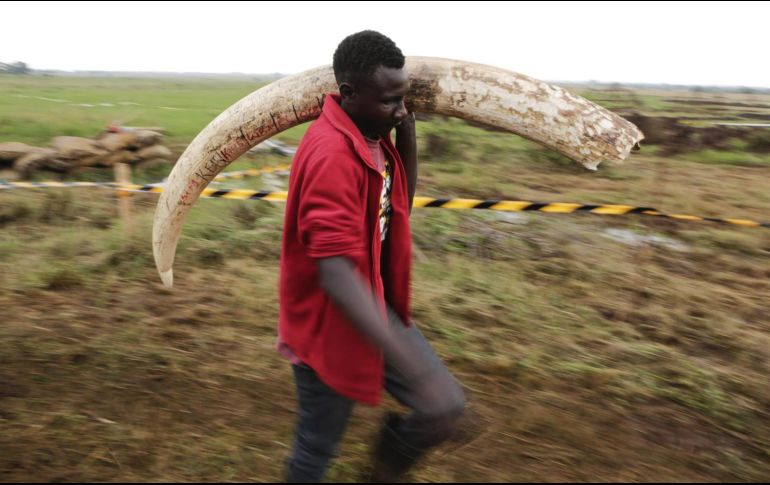 Las personas que sean declaradas culpables de infringir la prohibición se enfrentarán a duras sanciones, que incluyen una multa ilimitada o hasta cinco años de cárcel.BEFE / D. Irungo