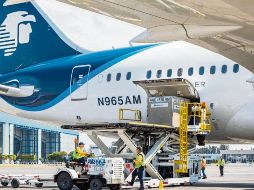 La aerolínea cambió el plástico por materiales biodegradables. ESPECIAL