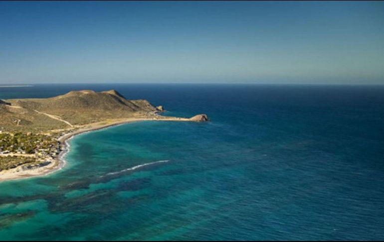 La protección del océano y su biodiversidad  permitiría la conservación de un ecosistema del que dependen más de mil millones de personas. NTX/ARCHIVO