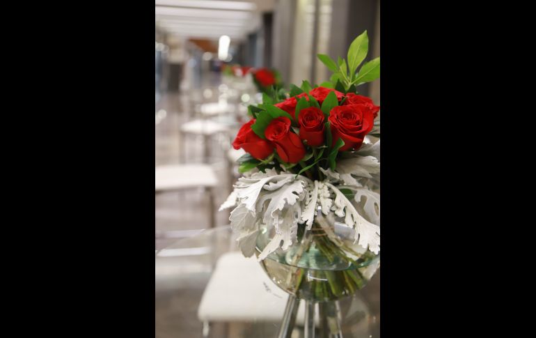 Aspecto. GENTE BIEN JALISCO/Antonio Martínez