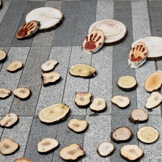 Proponen mediación ante acusaciones a empresa francesa por deforestación amazónica