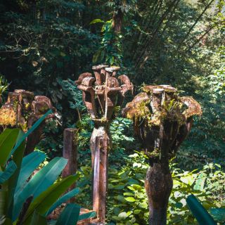 5 pueblos mágicos para hacer turismo sustentable en México