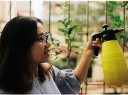 El Slow living trata de conectarte a ti mismo con tu espacio, ser consciente de tu entorno al reducir la velocidad y disfrutar el momento. UNSPLASH/Trung Than