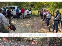 Los ocho cuerpos fueron hallados en siete fosas clandestinas dentro de un predio del municipio de Tecomán. ESPECIAL