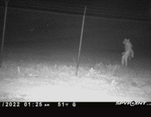 La captura del supuesto 