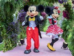 Gaby Sosa Princess Show. CORTESÍA