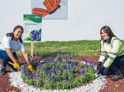 Impulsado por Cemex, el Programa de Restauración Ambiental Comunitaria (PRAC) ha convertido a decenas de alumnos, a lo largo del país, en auténticos promotores ambientales y verdaderos agentes de cambio que preservan las especies y sus hábitats. ESPECIAL