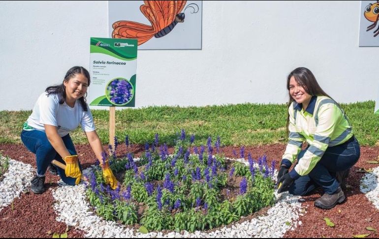 Impulsado por Cemex, el Programa de Restauración Ambiental Comunitaria (PRAC) ha convertido a decenas de alumnos, a lo largo del país, en auténticos promotores ambientales y verdaderos agentes de cambio que preservan las especies y sus hábitats. ESPECIAL