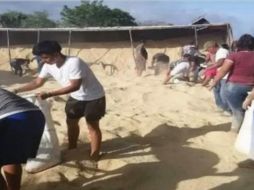 Habitantes se llevaron las toneladas de producto que salió de los contenedores. SUN/ESPECIAL