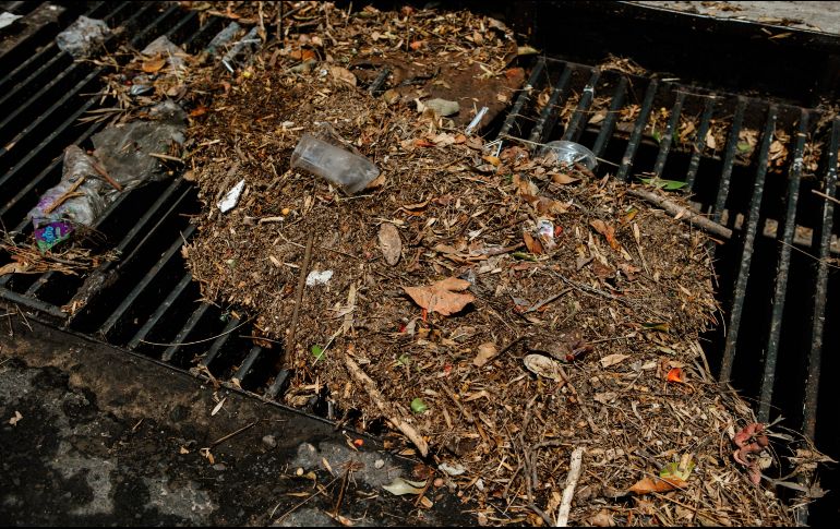 Vecinos coinciden en que el arrastre de composta tapó el alcantarillado. EL INFORMADOR/G. GALLO