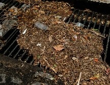 Vecinos coinciden en que el arrastre de composta tapó el alcantarillado. EL INFORMADOR/G. GALLO