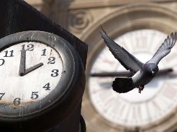 Dentro de las razones que el gobierno ha informado se encuentran el mínimo ahorro de energía y los potenciales daños a la salud que esto podría originar. AFP/ARCHIVO