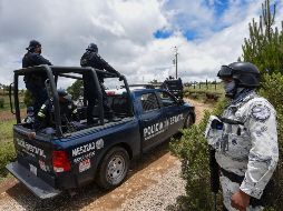 López Obrador señala que para enfrentar la violencia, además de atender las causas que la originan, se despliega mayor presencia en los estados donde hay más problemas de seguridad. EFE / M. Hartz