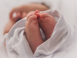 Detallan que los 13 bebés están sanos y pronto nacerán en la ciudad de Toluca. ESPECIAL/Foto de Luma Pimentel en Unsplash