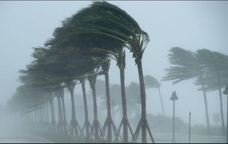 Se pronostican precipitaciones para los próximos meses y de 30 a 40 ciclones en el Pacífico y Atlántico. INFORMADOR /ARCHIVO