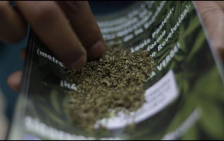 Una madre de familia amenazó con presentar una denuncia ante la Fiscalía General del Estado de México por la intoxicación con marihuana que sufrieron los niños. NTX/ARCHIVO