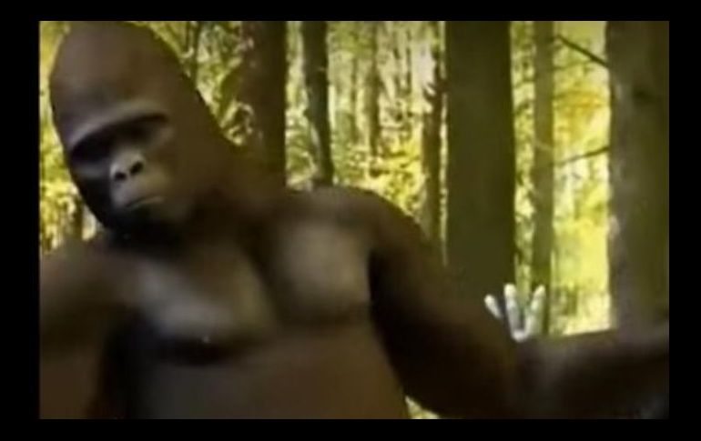 Usuarios de redes sociales comenzaron a compartir la pegajosa canción. ESPECIAL