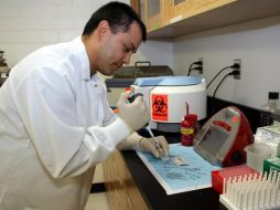 El pasado 7 de junio se dio a conocer por parte de Secretaría de Salud de Puerto Vallarta, el primer caso sospechoso de la viruela del mono en Puerto Vallarta, Jalisco. EFE / ARCHIVO