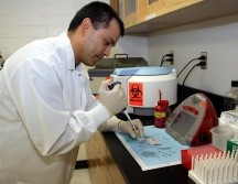 El pasado 7 de junio se dio a conocer por parte de Secretaría de Salud de Puerto Vallarta, el primer caso sospechoso de la viruela del mono en Puerto Vallarta, Jalisco. EFE / ARCHIVO