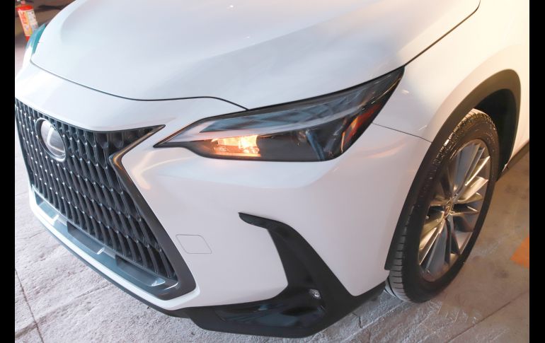 Aspecto. GENTE BIEN JALISCO/Antonio Martínez