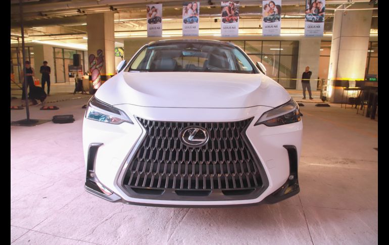 Aspecto. GENTE BIEN JALISCO/Antonio Martínez