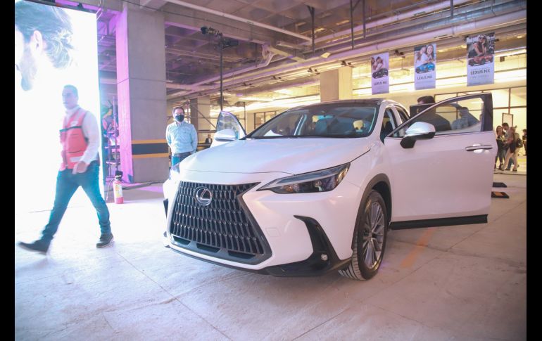 Aspecto. GENTE BIEN JALISCO/Antonio Martínez