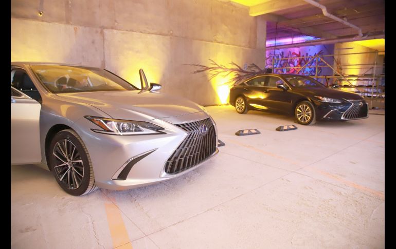 Aspecto. GENTE BIEN JALISCO/Antonio Martínez