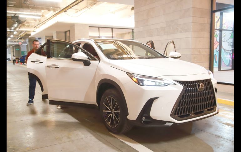 Aspecto. GENTE BIEN JALISCO/Antonio Martínez