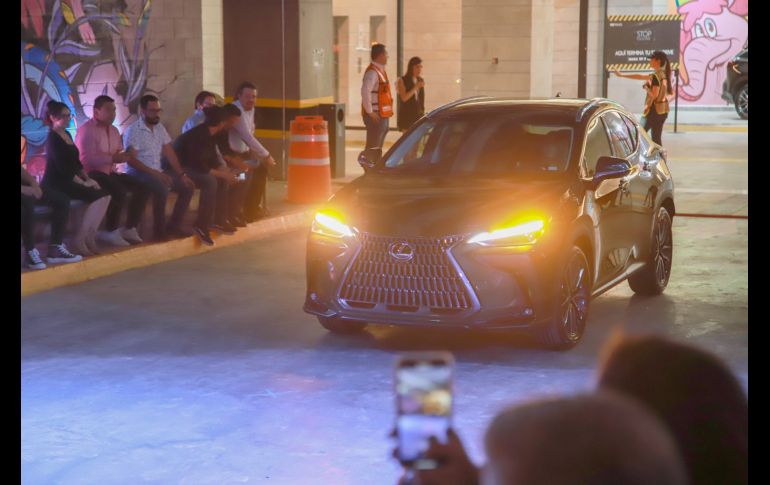 Aspecto. GENTE BIEN JALISCO/Antonio Martínez