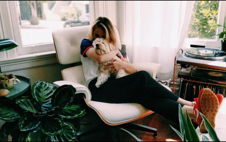 Es posible tener plantas de interior en casa incluso viviendo con perros o gatos. UNSPLASH/Avi Naim