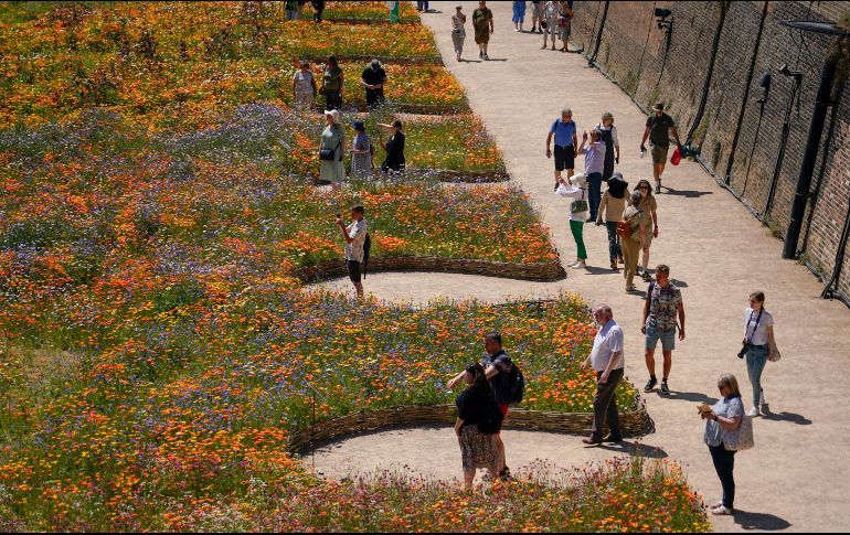 Autoridades británicas han establecido un 