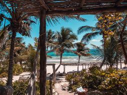 Photo by Roberto Nickson on Unsplash