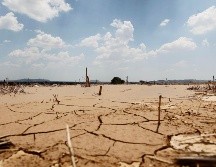 La Conagua informa que 639 municipios de México se reportan con sequía y en 820 continúan anormalmente secos. EL INFORMADOR/ARCHIVO