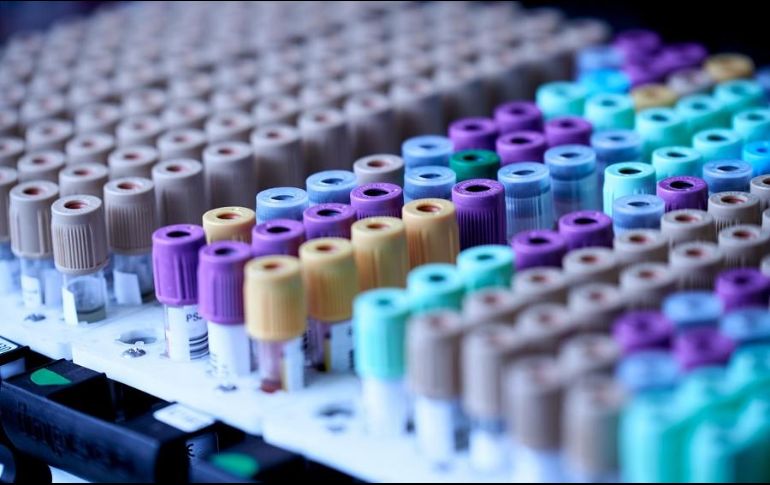 Los casos de virueka del mono aumentan desde mayo más allá de los países donde era endémica. ESPECIAL/Foto de Testalize.me en Unsplash